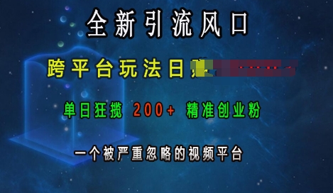 全新引流风口，跨平台玩法日入上k，单日狂揽200+精准创业粉，一个被严重忽略的视频平台-氢气球网创资源库
