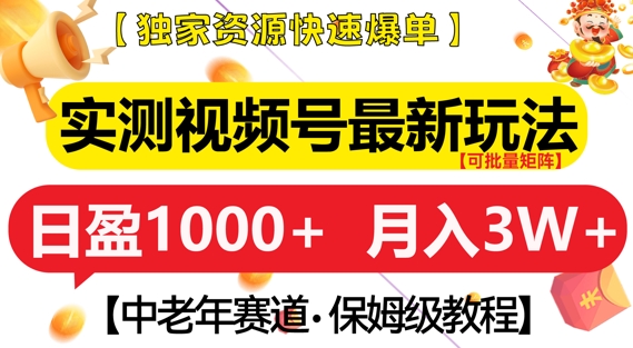 实测视频号最新玩法，中老年赛道，独家资源，月入过W+【揭秘】-氢气球网创资源库