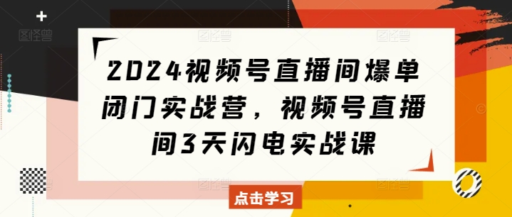 2024视频号直播间爆单闭门实战营，视频号直播间3天闪电实战课-氢气球网创资源库