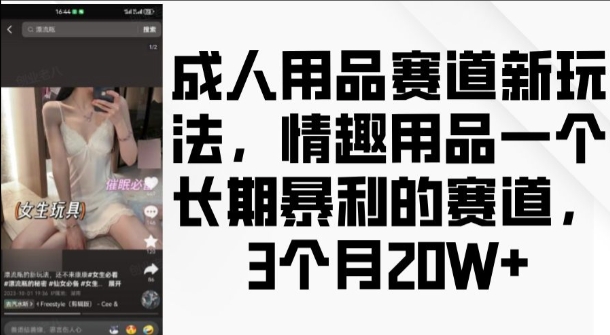 成人用品赛道新玩法，情趣用品一个长期暴利的赛道，3个月收益20个【揭秘】-氢气球网创资源库