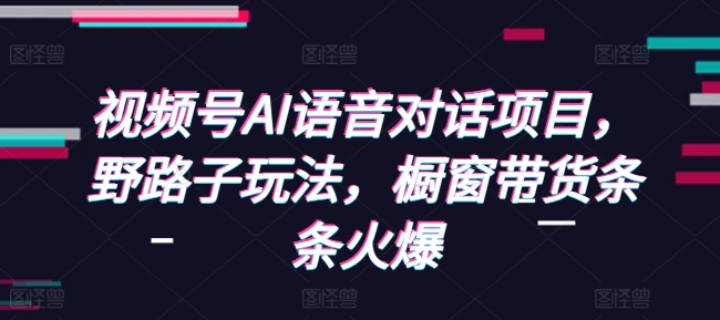 视频号AI语音对话项目，野路子玩法，橱窗带货条条火爆-氢气球网创资源库