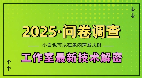 2025问卷调查最新工作室技术解密：一个人在家也可以闷声发大财，小白一天2张，可矩阵放大【揭秘】-氢气球网创资源库