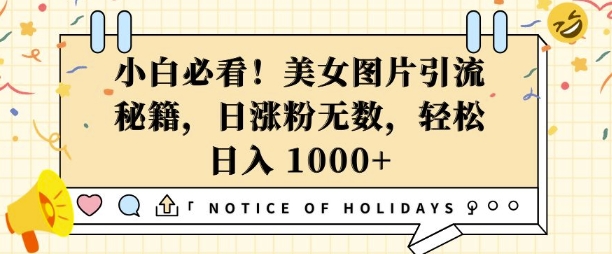 小白必看，美女图片引流秘籍，日涨粉无数，轻松日入几张【揭秘】-氢气球网创资源库