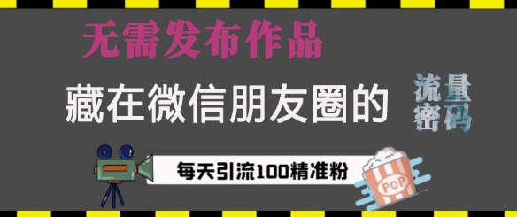 藏在微信朋友圈的流量密码，无需发布作品，单日引流100+精准创业粉【揭秘】-氢气球网创资源库