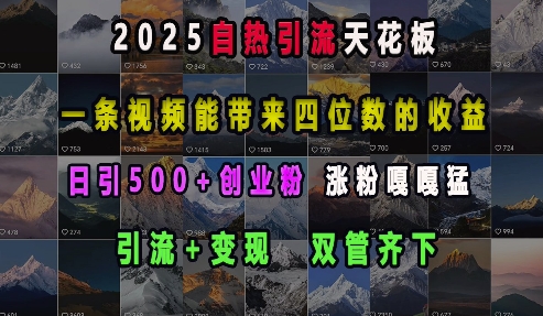 2025自热引流天花板，一条视频能带来四位数的收益，引流+变现双管齐下，日引500+创业粉，涨粉嘎嘎猛-氢气球网创资源库