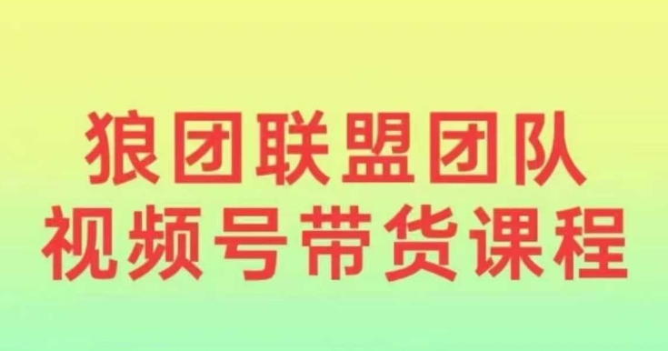 狼团联盟2024视频号带货，0基础小白快速入局视频号-氢气球网创资源库