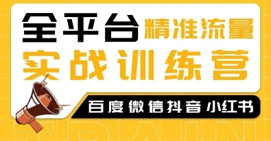 全平台精准流量实战训练营，百度微信抖音小红书SEO引流教程-氢气球网创资源库