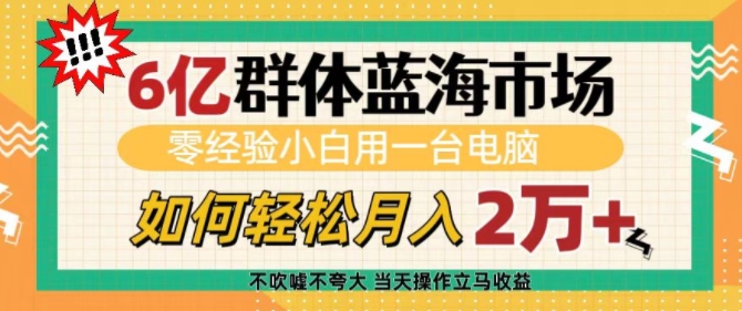 6亿群体蓝海市场，零经验小白用一台电脑，如何轻松月入过w【揭秘】-氢气球网创资源库