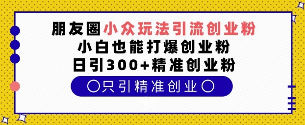 朋友圈小众玩法引流创业粉，小白也能打爆创业粉，日引300+精准创业粉【揭秘】-氢气球网创资源库