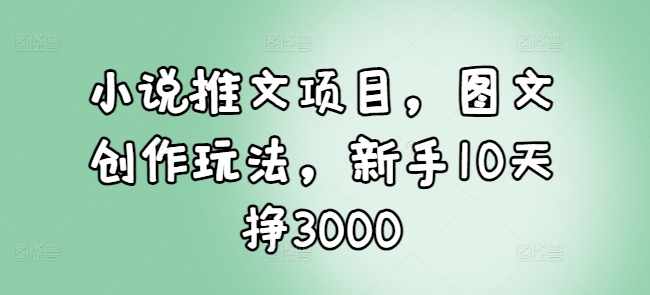 小说推文项目，图文创作玩法，新手10天挣3000-氢气球网创资源库