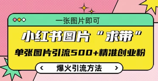 小红书图片‘求带’爆火引流法，单张图片引流500+精准创业粉【揭秘】-氢气球网创资源库