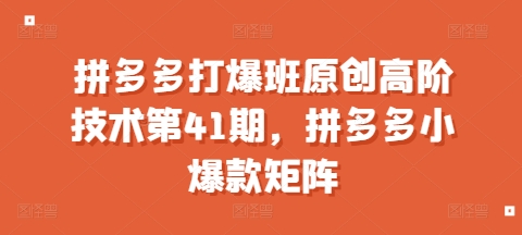 拼多多打爆班原创高阶技术第41期，拼多多小爆款矩阵-氢气球网创资源库