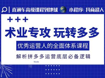 术业专攻玩转多多，优秀运营人的全面体系课程，解析拼多多运营底层必备逻辑-氢气球网创资源库