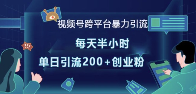 视频号跨平台暴力引流，每天半小时，单日引流200+精准创业粉-氢气球网创资源库
