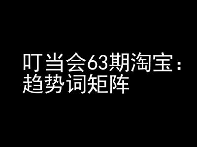《淘宝天猫打爆班》原创高阶技术第63期，趋势词矩阵技术和玩法-氢气球网创资源库