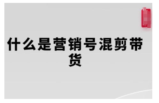 营销号混剪带货，从内容创作到流量变现的全流程，教你用营销号形式做混剪带货-氢气球网创资源库