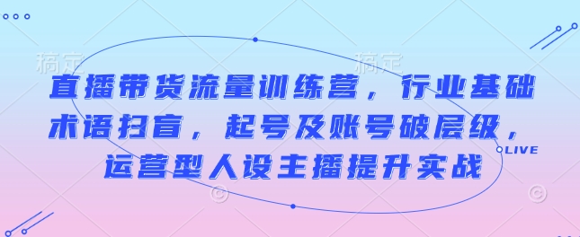 直播带货流量训练营，行业基础术语扫盲，起号及账号破层级，运营型人设主播提升实战-氢气球网创资源库