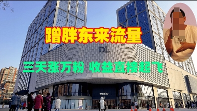 蹭胖东来流量，三天涨万粉，收益直接起飞-氢气球网创资源库