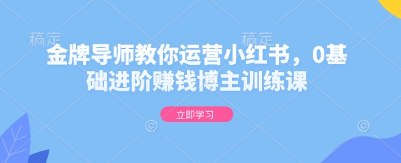 金牌导师教你运营小红书，0基础进阶赚钱博主训练课-氢气球网创资源库