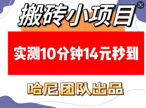 搬砖小项目，实测10分钟14元秒到，每天稳定几张(赠送必看稳定)-氢气球网创资源库