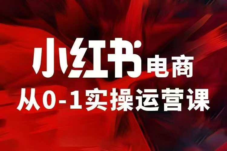 小红书电商运营，97节小红书vip内部课，带你实现小红书赚钱-氢气球网创资源库
