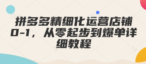 拼多多精细化运营店铺0-1，从零起步到爆单详细教程-氢气球网创资源库