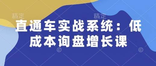 直通车实战系统：低成本询盘增长课，让个人通过技能实现升职加薪，让企业低成本获客，订单源源不断-氢气球网创资源库