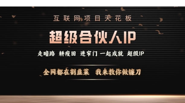 互联网项目天花板，超级合伙人IP，全网都在割韭菜，我来教你做镰刀【仅揭秘】-氢气球网创资源库