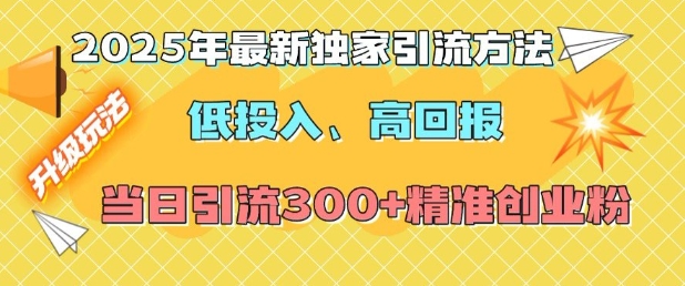 2025年最新独家引流方法，低投入高回报？当日引流300+精准创业粉-氢气球网创资源库