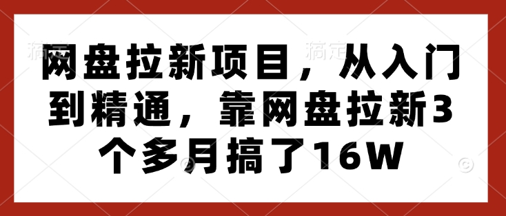 网盘拉新项目，从入门到精通，靠网盘拉新3个多月搞了16W-氢气球网创资源库