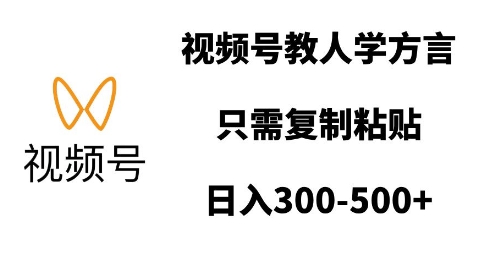 视频号教人学方言，只需复制粘贴，日入多张-氢气球网创资源库