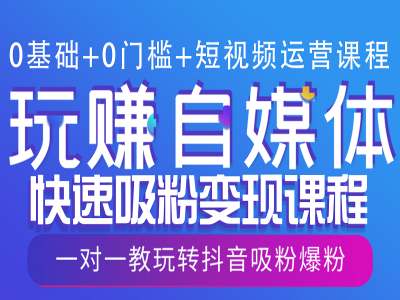 0基础+0门槛+短视频运营课程，玩赚自媒体快速吸粉变现课程，一对一教玩转抖音吸粉爆粉-氢气球网创资源库