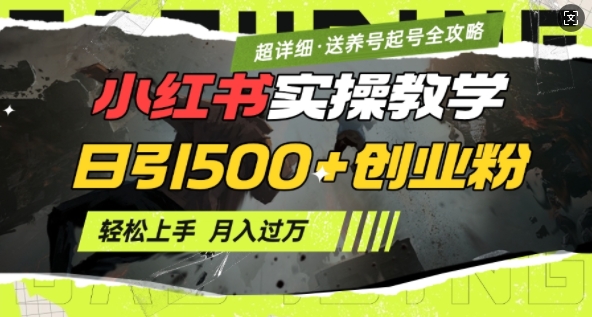 2月小红书最新日引500+创业粉实操教学【超详细】小白轻松上手，月入1W+，附小红书养号起号SOP-氢气球网创资源库