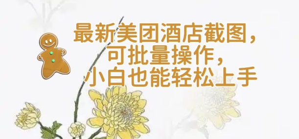 【轻云】最新美团酒店截图，可批量操作，小白也能轻松上手-氢气球网创资源库