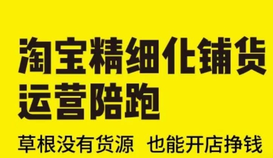 淘宝精细化铺货运营陪跑(部分更新至2025)，草根没有货源 也能开店挣钱-氢气球网创资源库