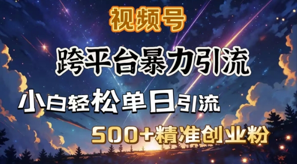 跨平台暴力引流，私域完美闭环，日引500+精准创业粉-氢气球网创资源库