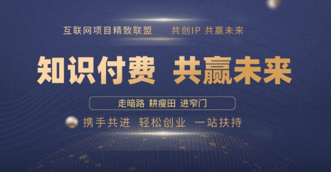 别人苦寻无果，为何他们靠知识付费卖项目 2025 年轻松年入100个?【揭秘】-氢气球网创资源库