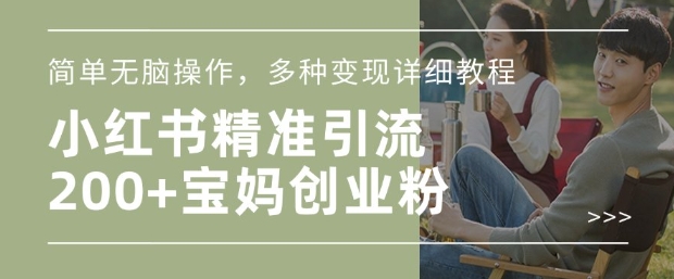小红书混剪日引200+宝妈创业粉，简单无脑操作，多种变现详细教程-氢气球网创资源库