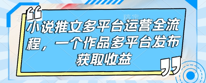 小说推文多平台运营全流程，一个作品多平台发布获取收益-氢气球网创资源库