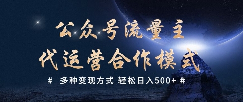 公众号流量主代运营  多种变现方式 轻松日入5张【揭秘】-氢气球网创资源库