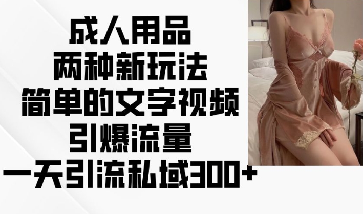 成人用品两种新玩法，简单的文字视频引爆流量，一天引流私域300+-氢气球网创资源库
