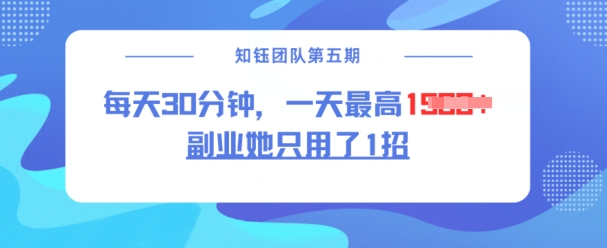 副业她只用了1招，每天30分钟，无脑二创，一天最高1.5k-氢气球网创资源库