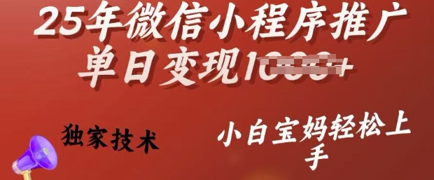 25年微信小程序推广单日变现多张，独家技术，小白宝妈轻松上手【揭秘】-氢气球网创资源库