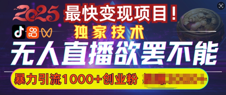 欲罢不能的无人直播引流，超暴力日引流1000+高质量精准创业粉-氢气球网创资源库