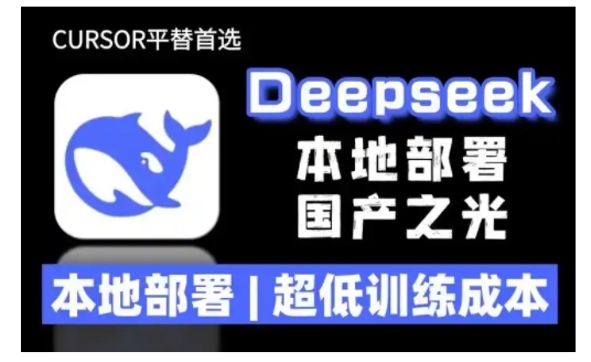 2025年deepseek R1 大型模型本地安装部署(文件+教程)本地部署，超低训练成本-氢气球网创资源库