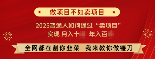 必看，做项目不如卖项目，2025普通人如何通过“卖项目”实现月入十个，年入百个-氢气球网创资源库