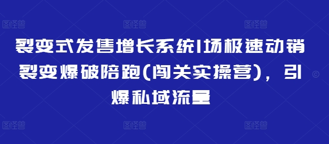 裂变式发售增长系统1场极速动销裂变爆破陪跑(闯关实操营)，引爆私域流量-氢气球网创资源库