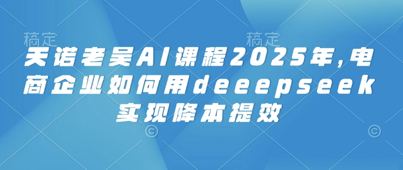天诺老吴AI课程2025年，电商企业如何用deeepseek实现降本提效-氢气球网创资源库