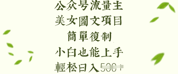 流量主长期收益项目，美女图片简单复制，小白也能上手，轻松日入5张-氢气球网创资源库