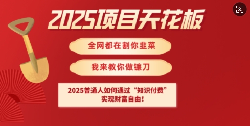 2025项目天花板普通人如何通过知识付费，实现财F自由【揭秘】-氢气球网创资源库